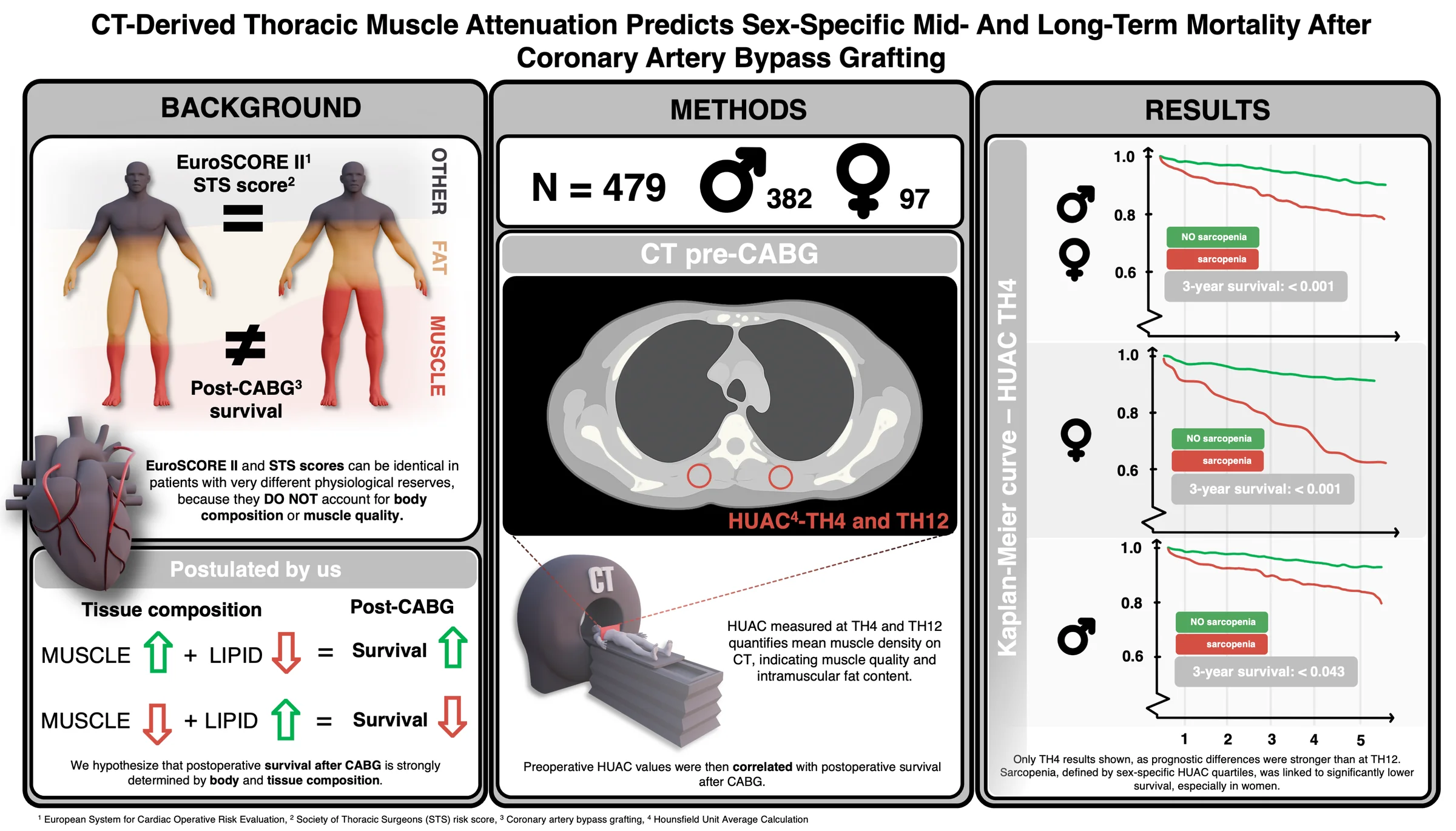 CT-Derived Thoracic Muscle Attenuation Predicts Sex-Specific Mid- and Long-Term Mortality After CABG